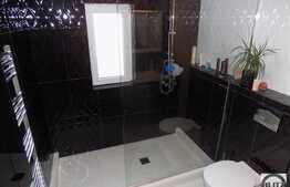 Duplex 6 camere, 150 mp, 300 mp teren, mobilat, utilat modern, zona linistita!