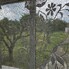 Casa de vânzare 2 camere Apahida - 197310CV - Poza 1 din 11 | BLITZ Cluj-Napoca | Poza10
