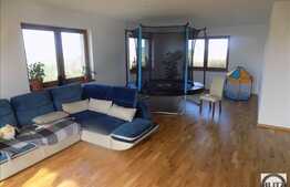 Vanzare casa individuala, 210 mp utili, 864 mp teren, zona linistita