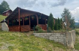 Casa cu teren de 2330 mp, anexa de 15 mp, zona Muntele Rece