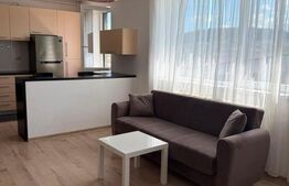Apartament spatios, 2 camere, 50 mp, parcare inclusa, balcon, zona Somesului