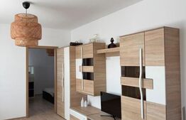 Apartament spatios, 2 camere, 50 mp, parcare inclusa, balcon, zona Somesului