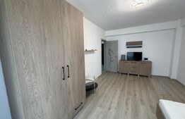 Apartament 1 camera, decomandat, parcare, zona Terra 