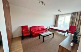 Apartament cu o cameră, 44 mp, AC | Central – NTT Data
