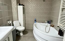 Apartament cu o cameră, 44 mp, AC | Central – NTT Data