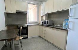 Apartament cu o cameră, 44 mp, AC | Central – NTT Data