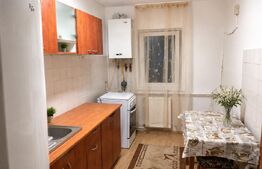 Apartament 3 camere, cu chiriași și cash-flow imediat în Brateș