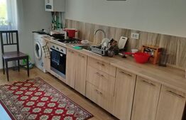 Casa renovata comuna Rediu, 50 mp, 3800 mp teren