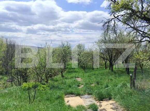 Casa de vânzare 2 camere Rediu - 197412CV | BLITZ Cluj-Napoca | Poza4