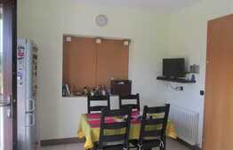 Casa individuala 370 mp, teren de 1100 mp, la cateva minute de LIDL!