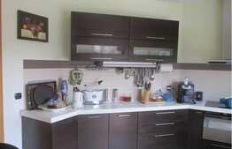 Casa individuala 370 mp, teren de 1100 mp, la cateva minute de LIDL!