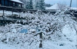 Casa de vanzare, 9 camere, 650 mp - Bran 