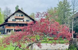 Casa de vanzare, 9 camere, 650 mp - Bran 