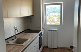 Apartament de inchiriat, decomandat, 2 camere, 42 mp, zona Gemenii