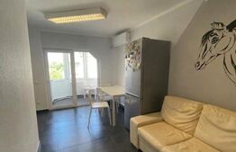 Apartament 2 camere Plopilor