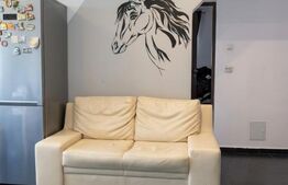 Apartament 2 camere Plopilor