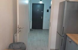 Apartament 1 camera, 45 mp - Maurer Villas