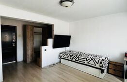 Apartament 1 camera, moderm, parcare, zona Somesului