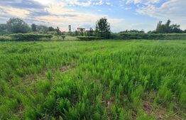 Teren intravilan de vânzare, 1200 mp – Stupini 88.000 euro