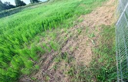 Teren intravilan de vânzare, 1200 mp – Stupini 88.000 euro