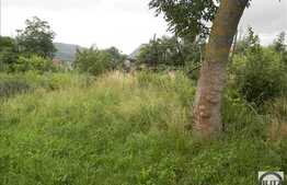 Vanzare casa individuala, 100 mp, 3200 mp teren, zona linistita