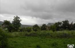 Vanzare casa individuala, 100 mp, 3200 mp teren, zona linistita