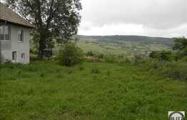 Vanzare casa individuala, 100 mp, 3200 mp teren, zona linistita