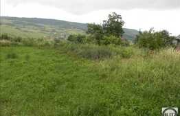 Vanzare casa individuala, 100 mp, 3200 mp teren, zona linistita