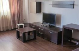Apartament 1 camera in zona Calea Turzii - Zorilor, Bloc nou