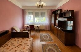 Oferta! Apartament 100 mp, 3 camere deco, Parcul Central