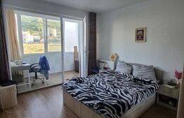 Apartament 2 camere decomandat, 60 mp utili, zona Porii