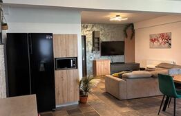 Apartament semidecomandat 56 mp, terasa 25 mp, parcare subterana, zona Vivo