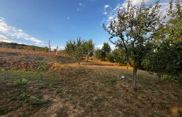 Propietate rara! 125 mp, 1000 mp teren, priveliste panoramica