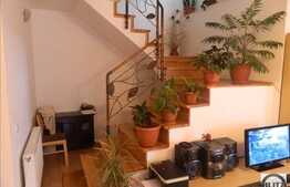 Casa de vanzare, 300 mp, cu teren de 600 mp, zona strazii Traian Vuia!