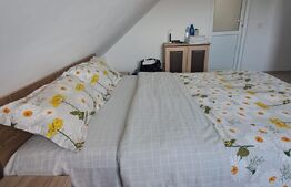 Pensiune la cheie | Contract activ garantat - Vistișoara, Brașov
