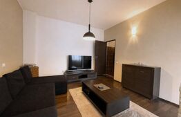 Proprietate cu 613 mp teren în Gruia, la 15 minute de centru