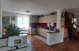 Vila de vanzare, 341 mp — vedere la Fagaras,