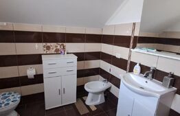 Vila de vanzare, 341 mp — vedere la Fagaras,