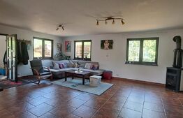 Vila de vanzare, 341 mp — vedere la Fagaras,