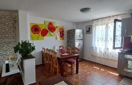 Vila de vanzare, 341 mp — vedere la Fagaras,