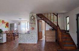 Vila de vanzare, 341 mp — vedere la Fagaras,