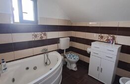 Vila de vanzare, 341 mp — vedere la Fagaras,
