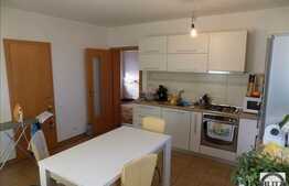 Vanzare casa individuala, 164 mp, 500 mp teren, zona de case si vile