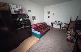 Apartament la casa, 58 mp + gradina de 380 mp