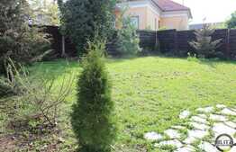 Proprietate unica! Casa individuala, 300 mp, mobilata vintage, zona linistita!