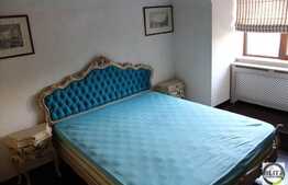 Proprietate unica! Casa individuala, 300 mp, mobilata vintage, zona linistita!