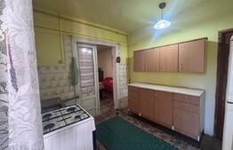 Apartament la casa, 1 camera, 37 mp, decomandat, gradina, Semicentral