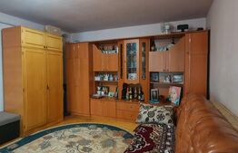 Casa 279 mp, teren 1400 mp, in Mihai Viteazu