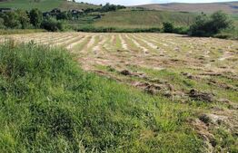 Casă de vânzare | Ceanu Mare – Liniște, natură și priveliște de vis
