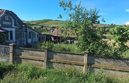 Casa de vânzare 2 camere Ceanu Mare - 204855CV | BLITZ Cluj-Napoca | Poza4